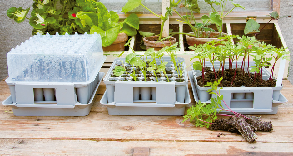 PlantStart Pluggbox - 2