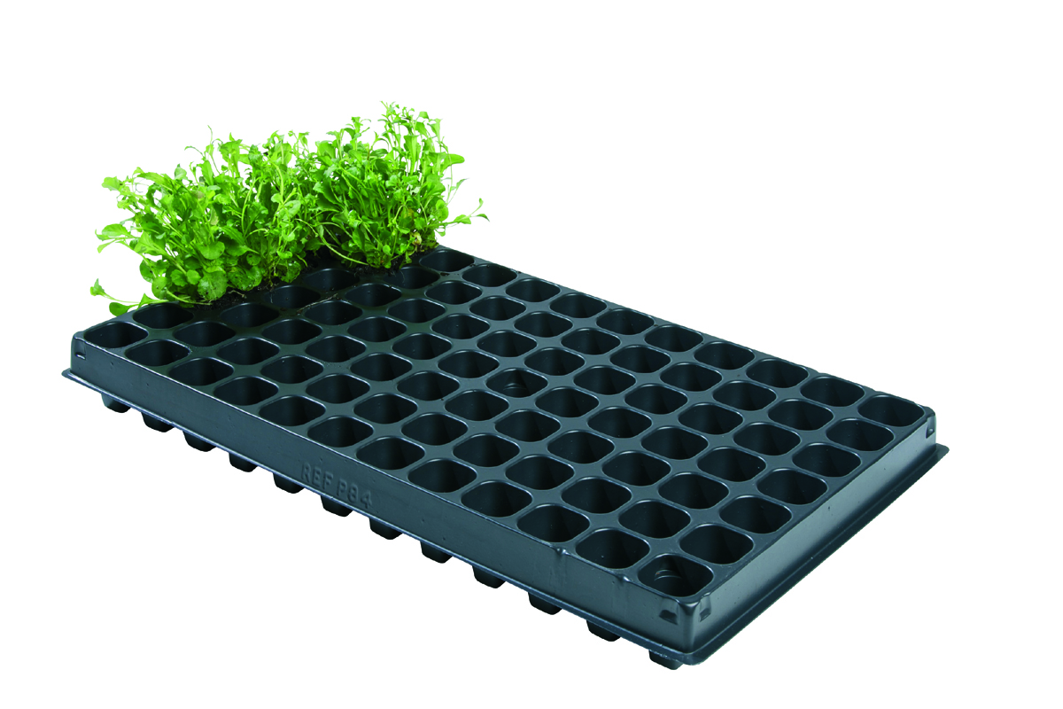 Professional pluggbricka med 84 celler 2-pack