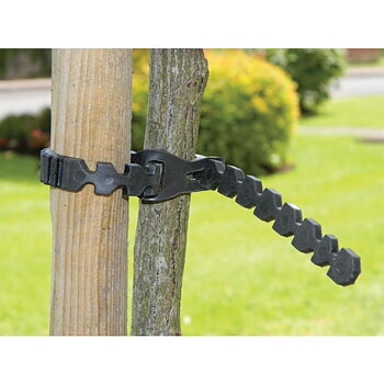 Tree Ties 61 cm