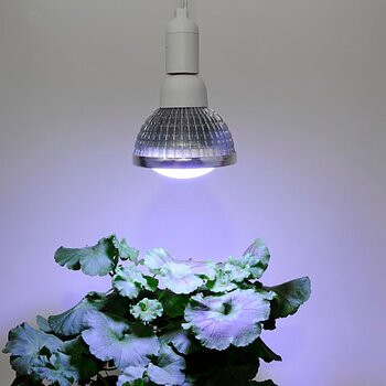 Grow Light Winter 18W (ljusspridning 140 grader)
