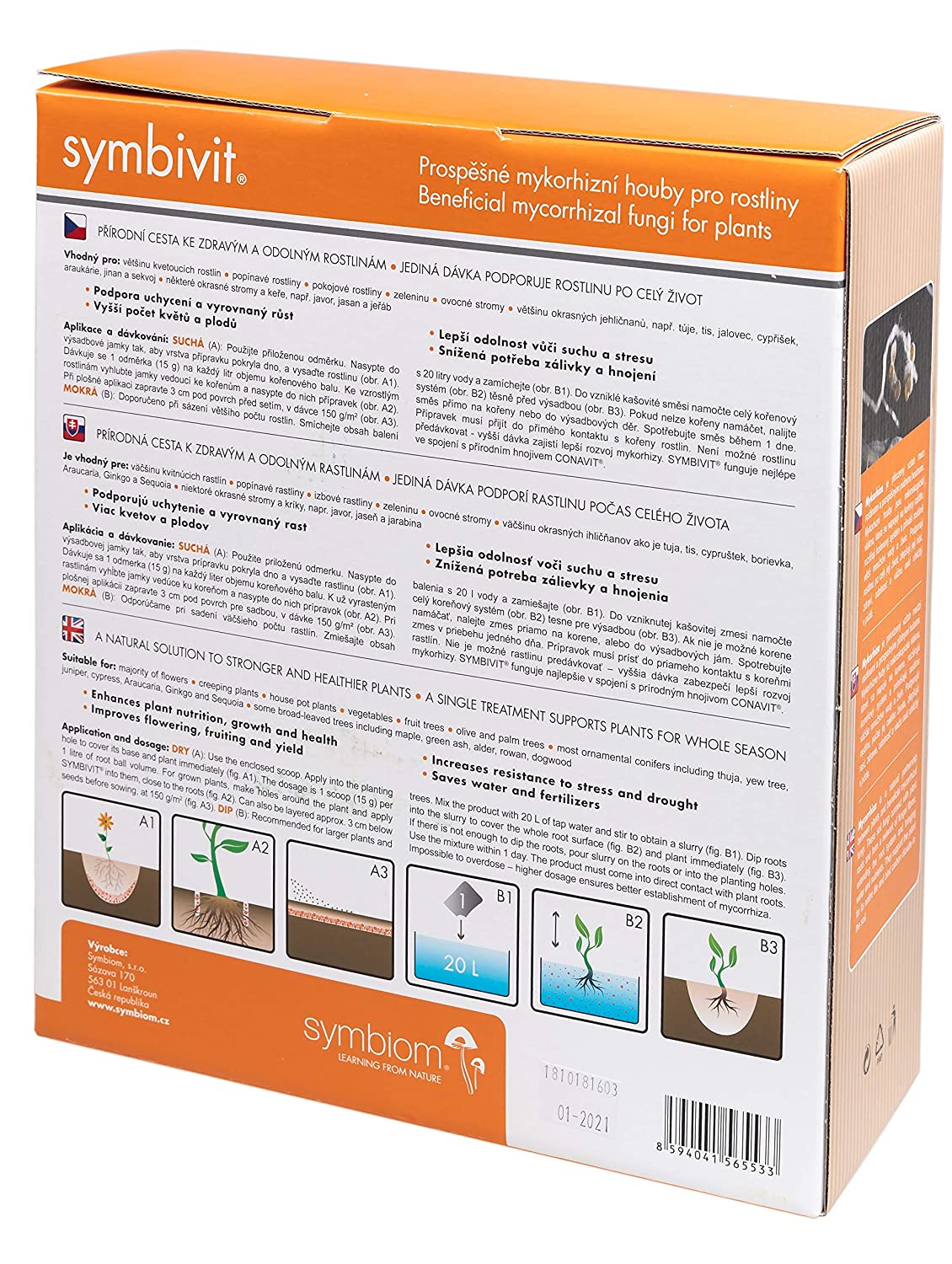 Symbivit Mycel som bildar mycorrhiza med plantans rötter - 4