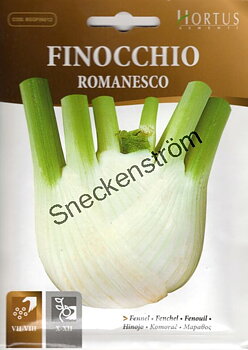 Fänkål "Romanesco"
