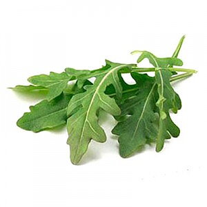 Rucola Coltivata / Rocket