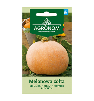 Vintersquash "Zolta"