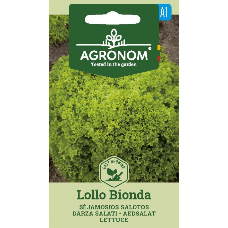 Sallad "Lollo Bionda" - 2