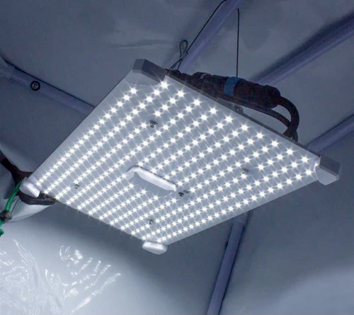 LUMii Black Blade 100W LED - 2