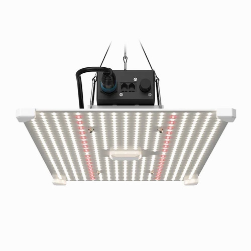 LUMii Black Blade 200W LED - 3