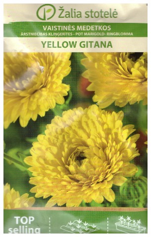Ringblomma, Yellow Gitana - 2