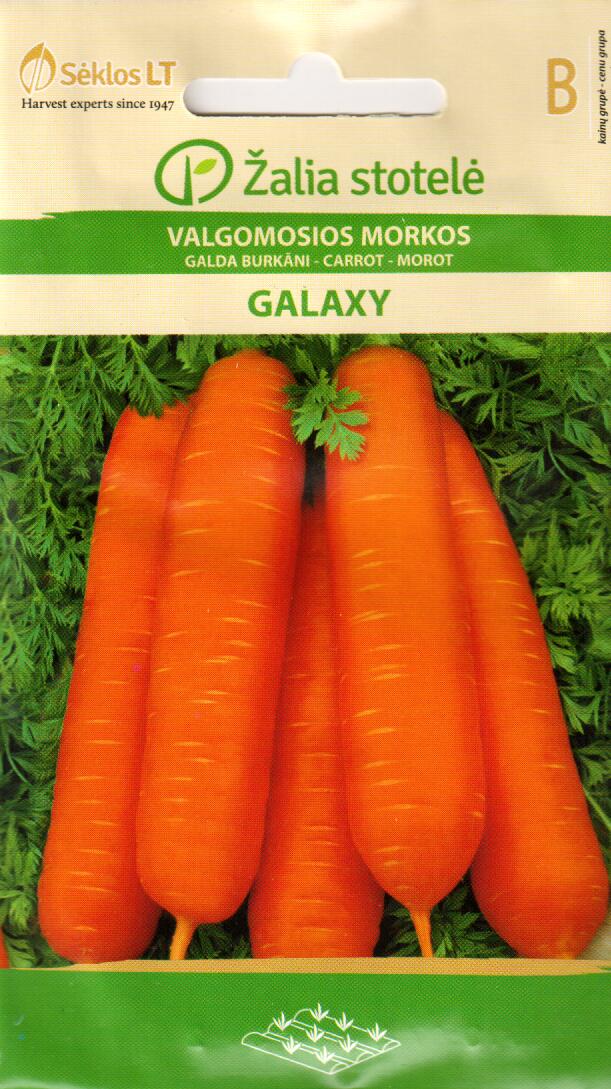 Morot Galaxy - 2