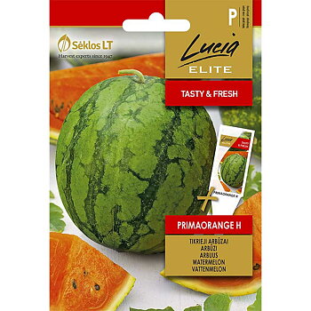 Vattenmelon Primaorange H