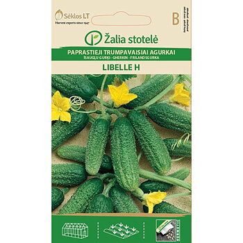 Gurka Libelle H