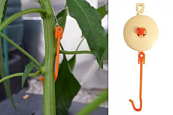 YOYO Plantstöd