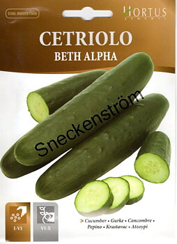 Gurka Beth Alpha