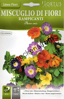 Blomstermix  Rampicanti