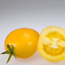 Plum Lemon