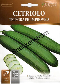 Gurka Telegraph Improved