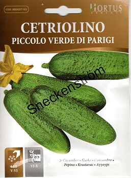 Gurka Piccolo Verde di Parigi
