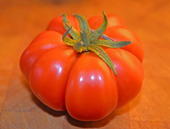 Costoluto Genovese