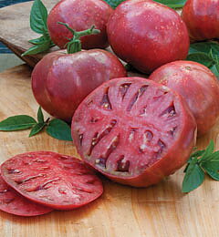 Cherokee Purple