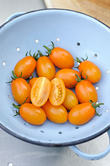 Orange Fizz F1 - 2