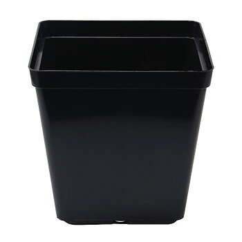Fyrkantig plastkruka 1,5 liter 13 cm Premium