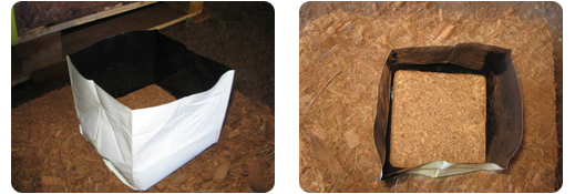 Nursery Bag / Popup growing - 2