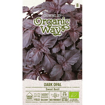 Basilika "Dark Opal" Organic Way - så lite bättre