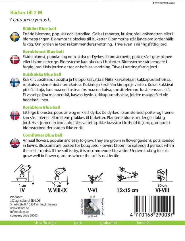 Blåklint, Blue Ball - 3