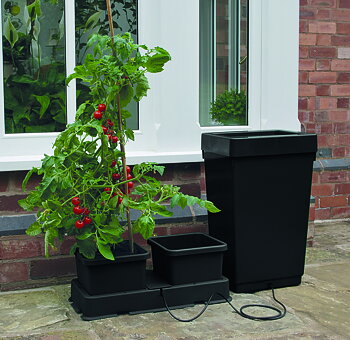 Easy2Grow kit, Svart Ebb och Flod system