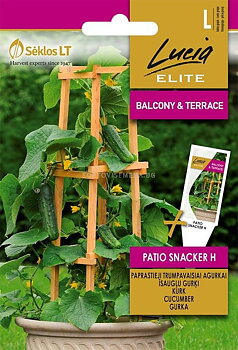 Patio Snacker (Lucia)