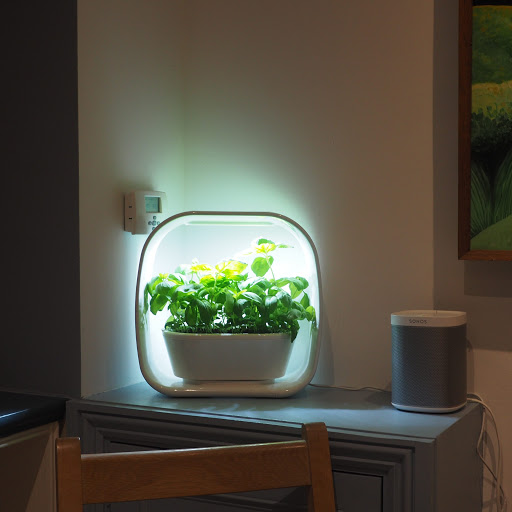 PLANT!T HERB GARDEN - 3