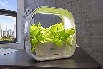 PLANT!T HERB GARDEN