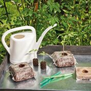 Power Blocks 5x5cm - 2