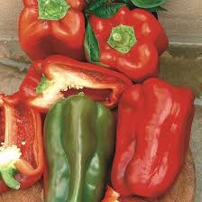 Paprika Lamuyo F1