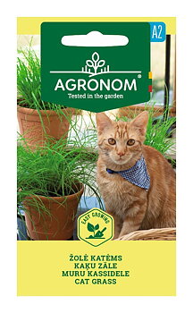 Kattgräs Agronom