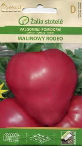Tomat Malinowy Rodeo - 2