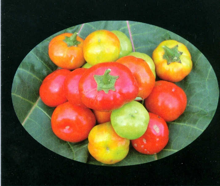 Kannibal Tomat - 2