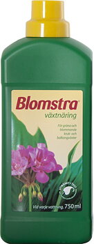 Blomstra