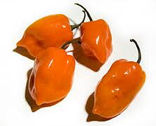 Orange Habanero