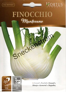Fänkål "Mantovano"
