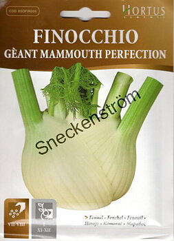 Fänkål "Geant Mammouth Perfection"