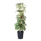 Själbevattnat odlingskruka "Grow Pot Tower" - 5