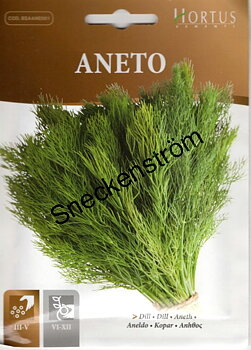 Dill  Aneto  