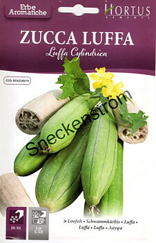 Svampgurka "Zucca Luffa"