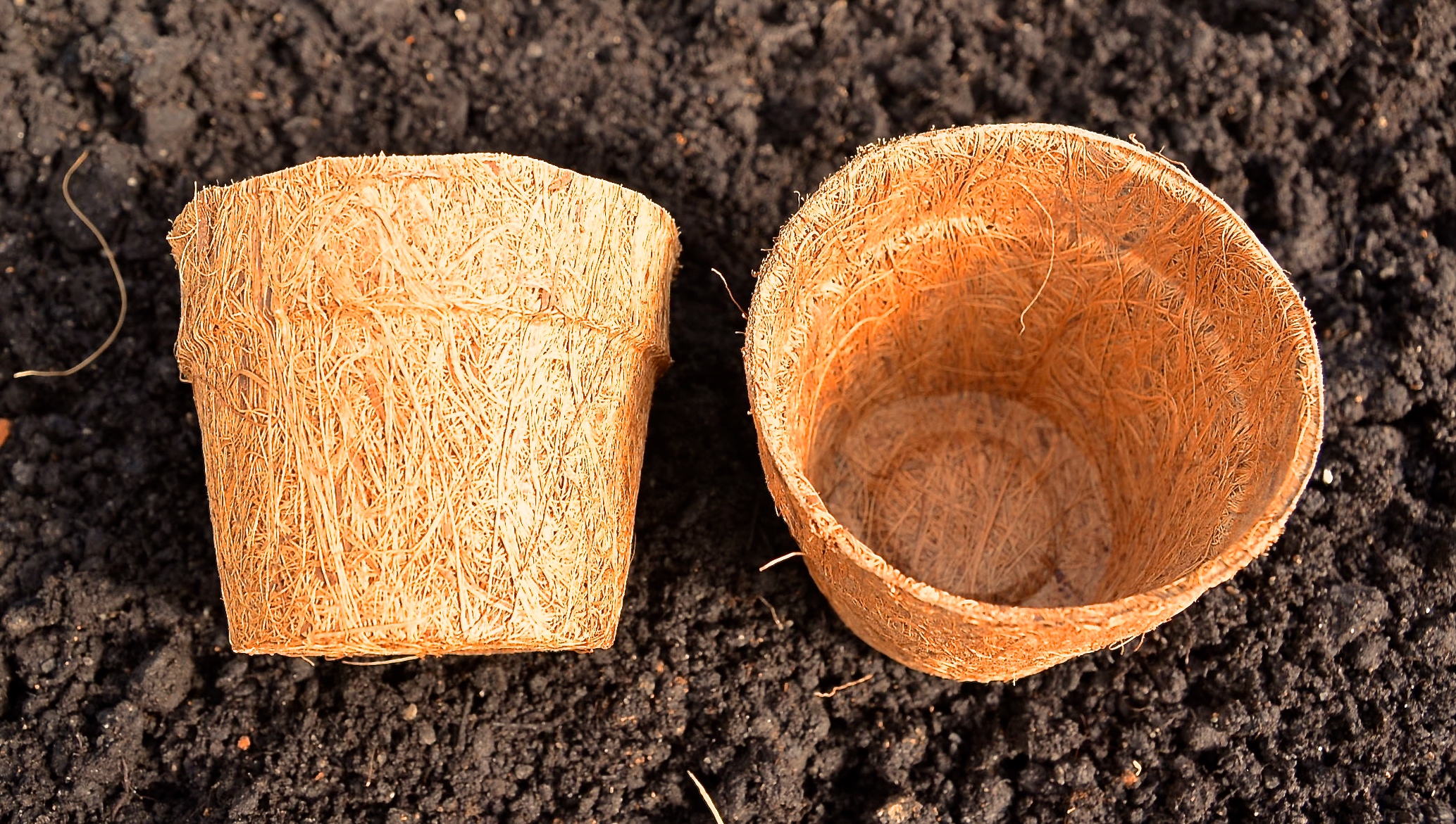 Kokoskruka 8cm (Coir Pot) 10-pack - 4