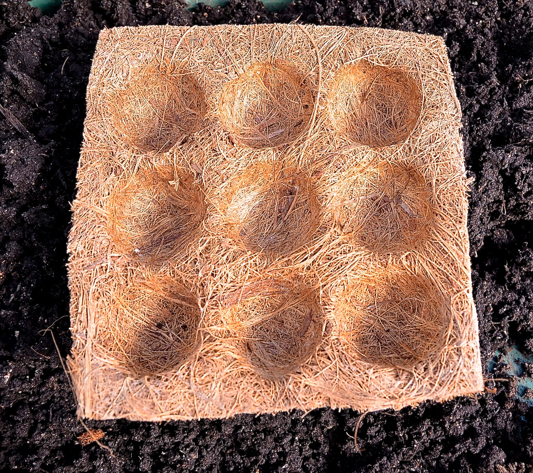 Planteringsbricka i kokos 5-pack