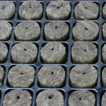 Speedgrow  Green Pluggbrätte med 126 rotningskuber - 4