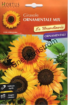 Solros "Girasole Ornamentale Mix"