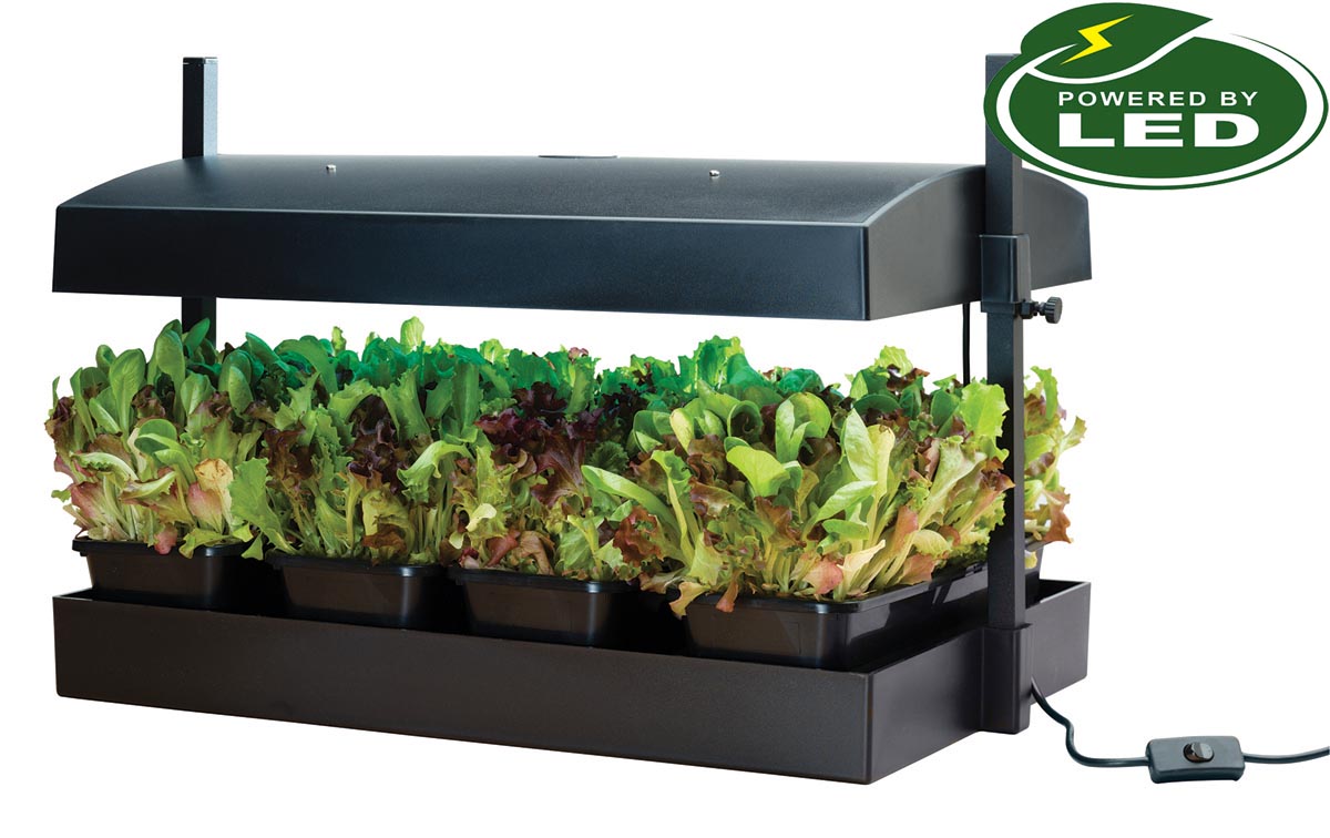 Odlingsstation LED 32W  med underbevattning Svart