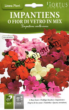 Flitiga Lisa "O Fior di vetro in Mix"